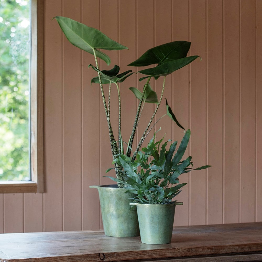 Product options image