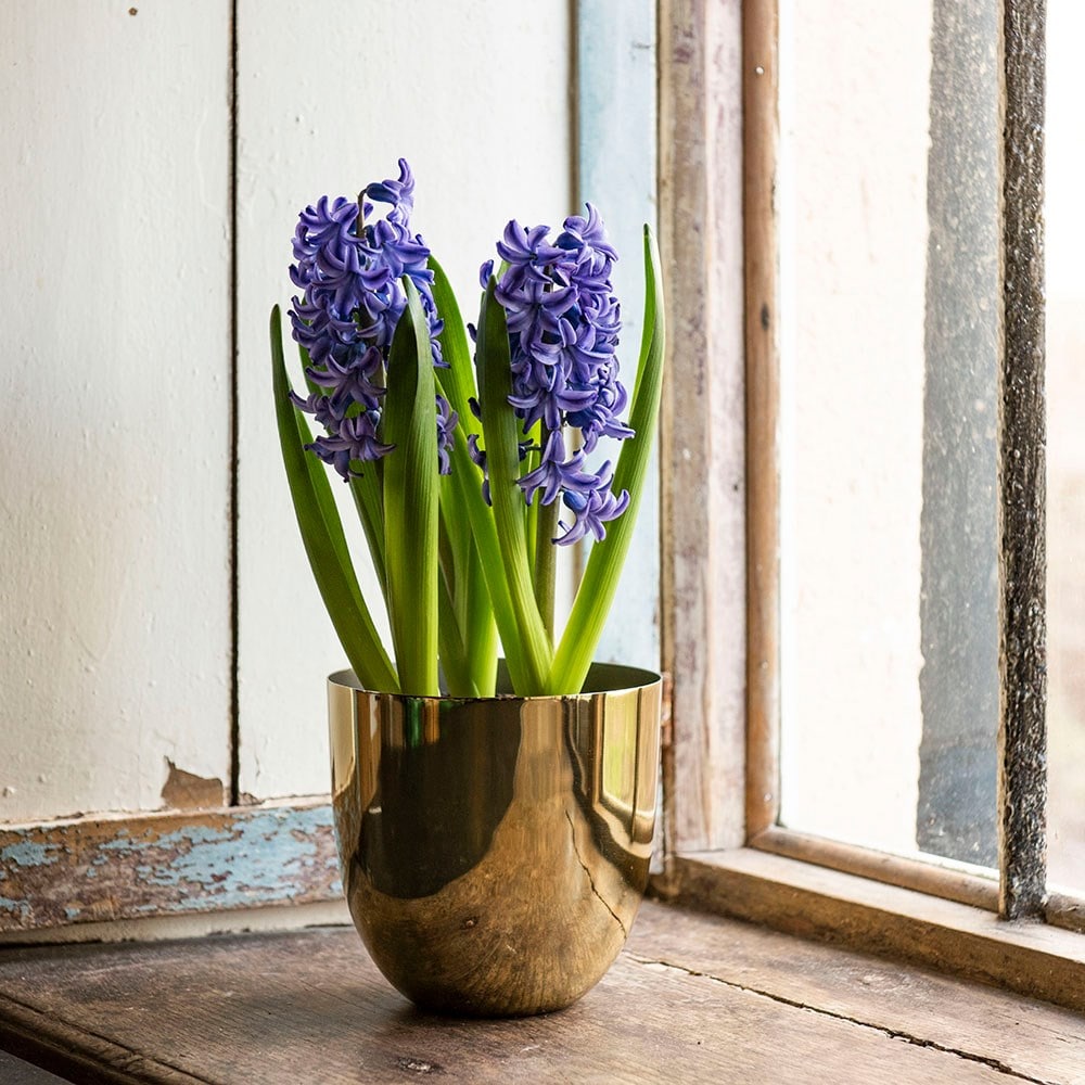 Polished brass pot cover