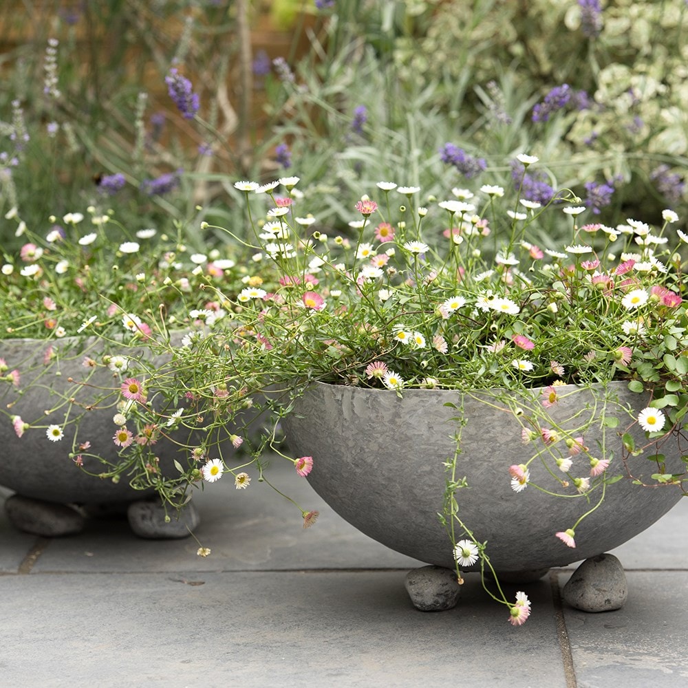 Shop all Crocus collection