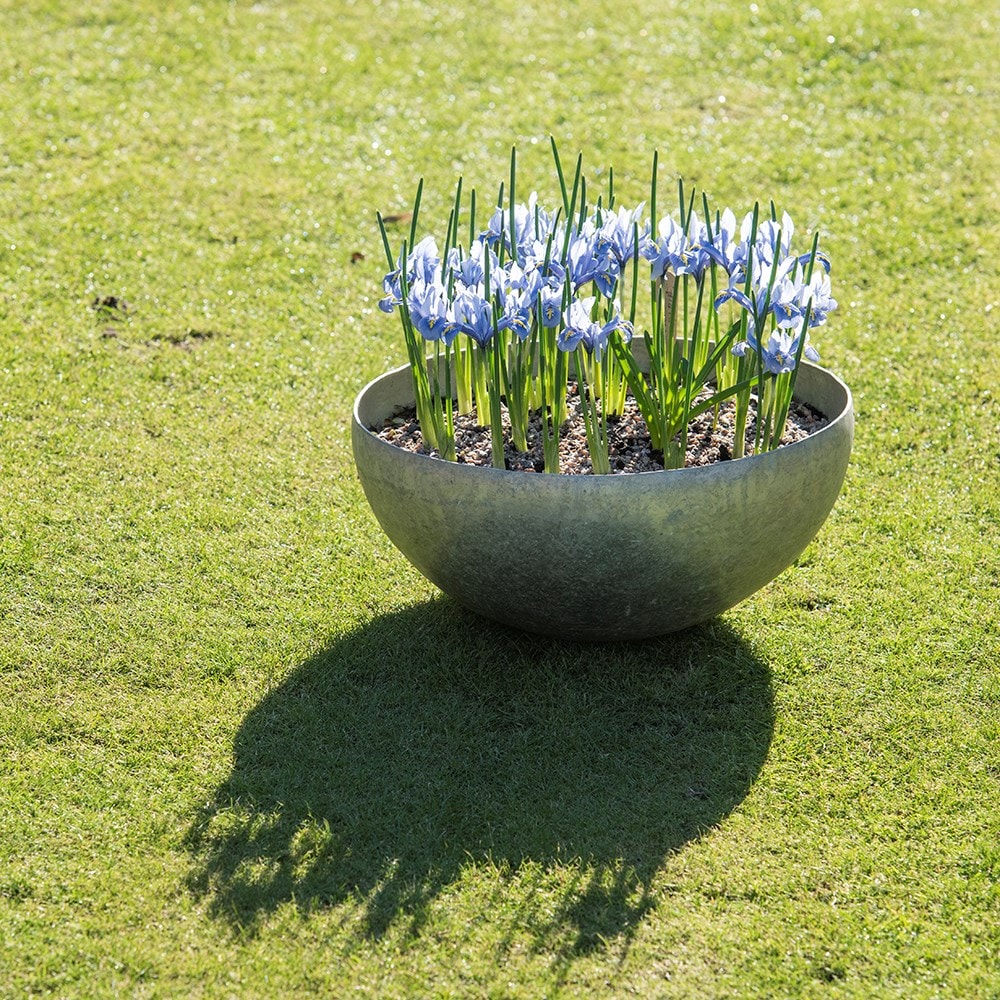 Sphere plant bowl