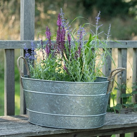Galvanised trough for plants or drinks