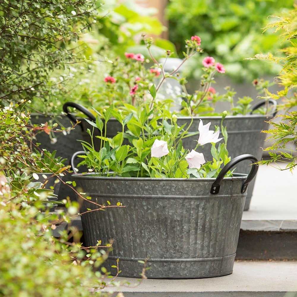 Product options image