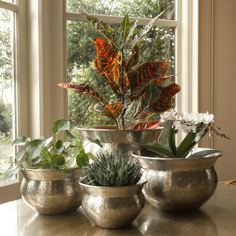 Product options image