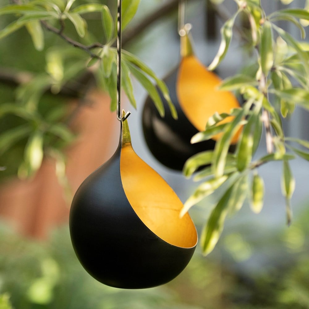 Product options image