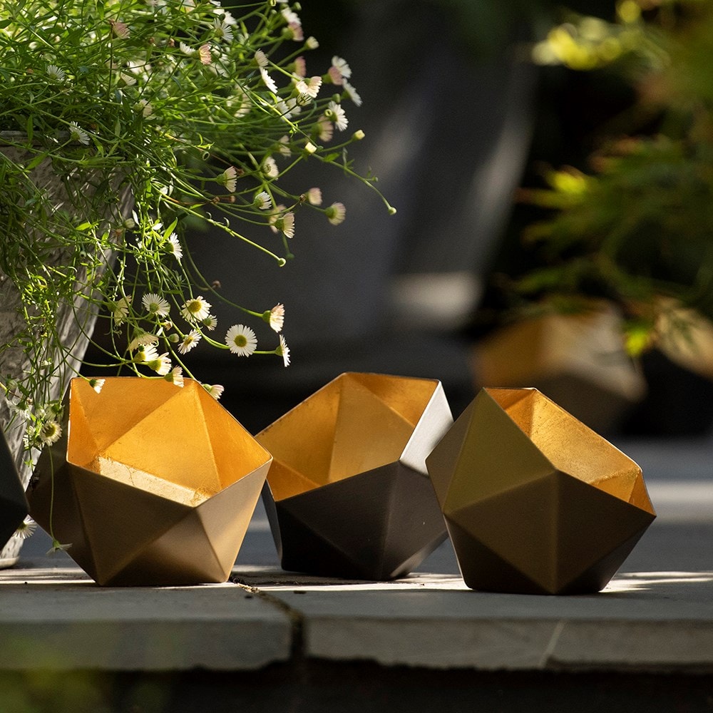 Product options image