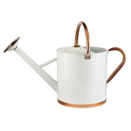 Buy Watering Cans Delivery By Waitrose Garden In Association With