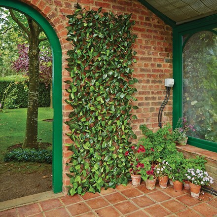 Buy Product Delivery By Waitrose Garden