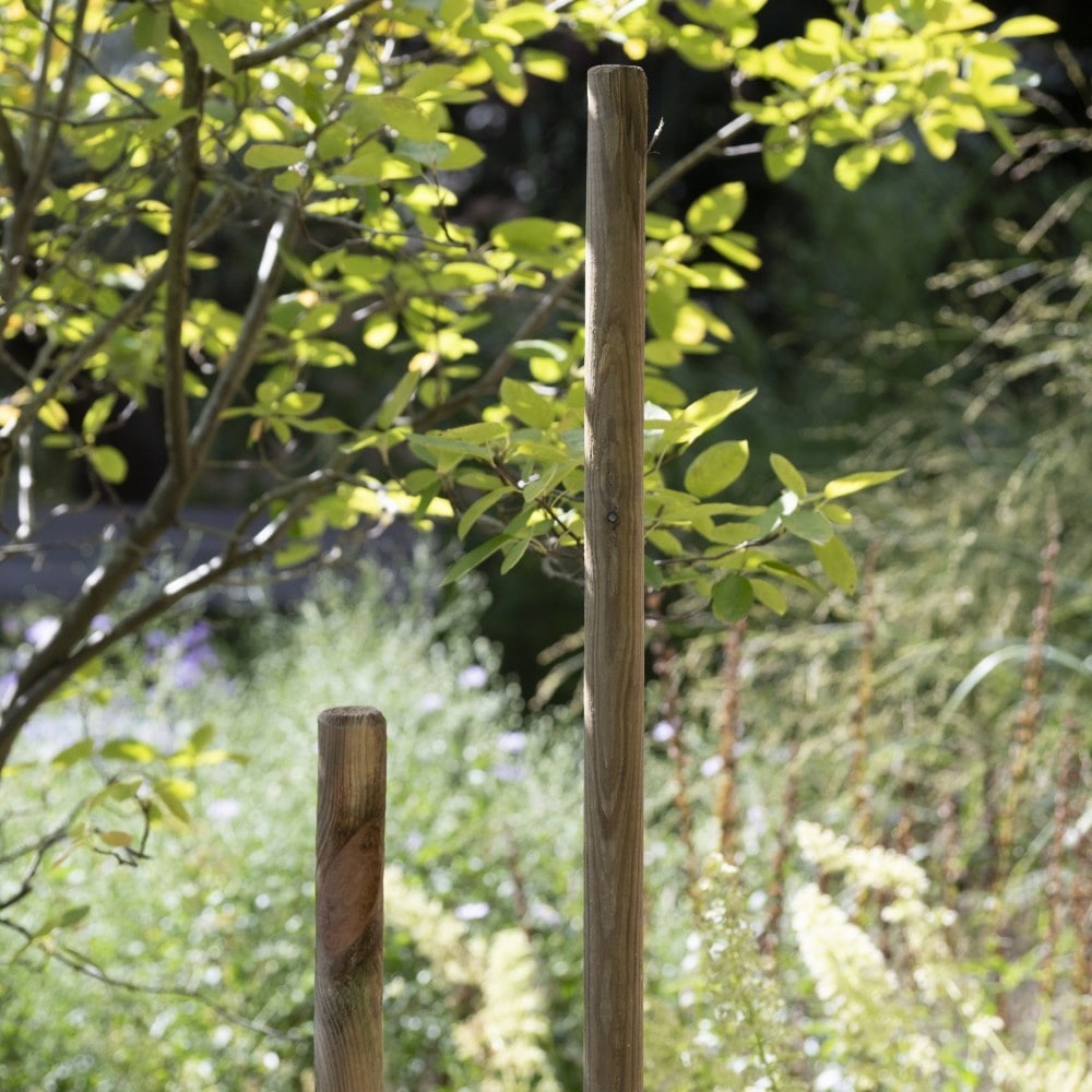 Softwood tree stake