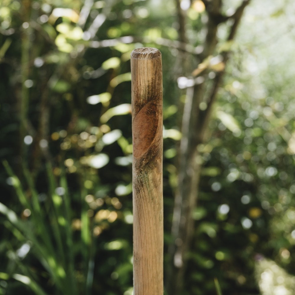 Softwood tree stake