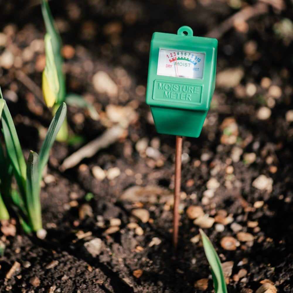 Product options image