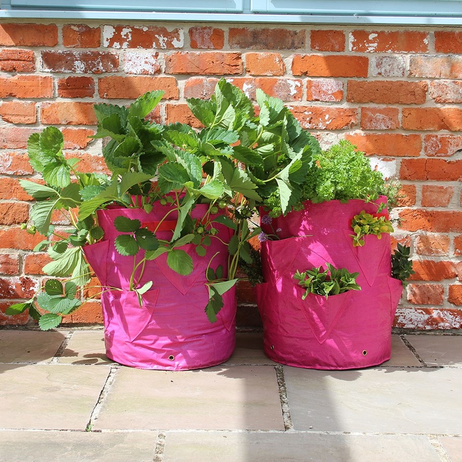 Strawberry and herb patio planters - set of 2