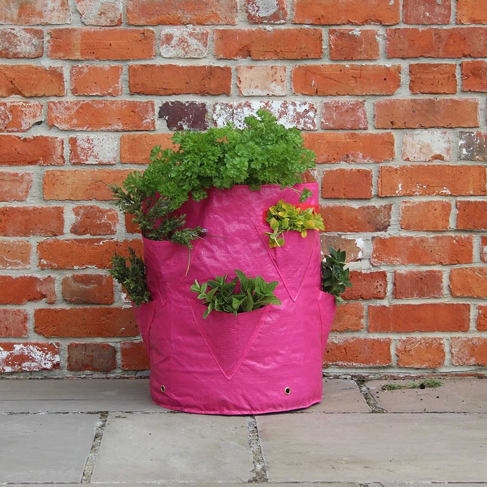 Strawberry and herb patio planters - set of 2
