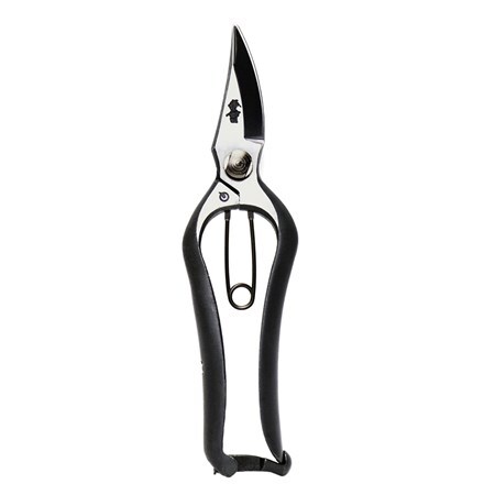 Picture of Japanese secateurs