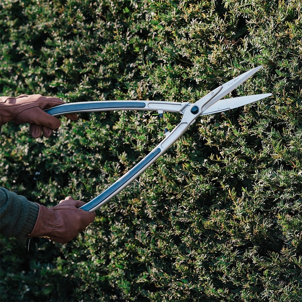 Product options image