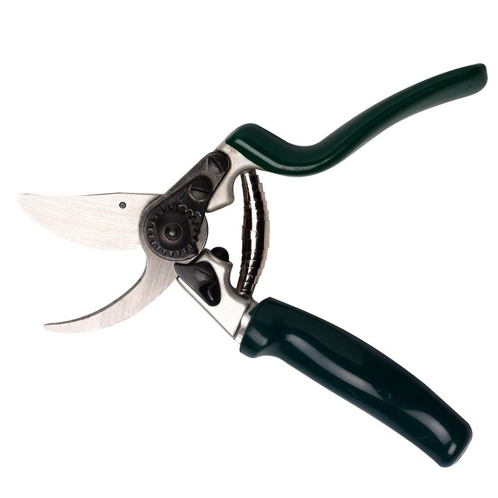 Buy RHS Burgon And Ball Professional Rotating Handle Bypass Secateurs ...