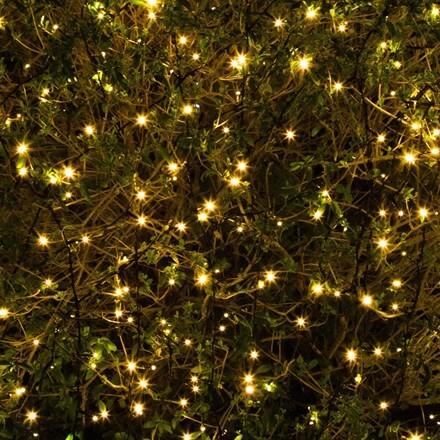 Solar Powered Lights Delivery By Waitrose Garden In Solar Powered Warm White Led Lights