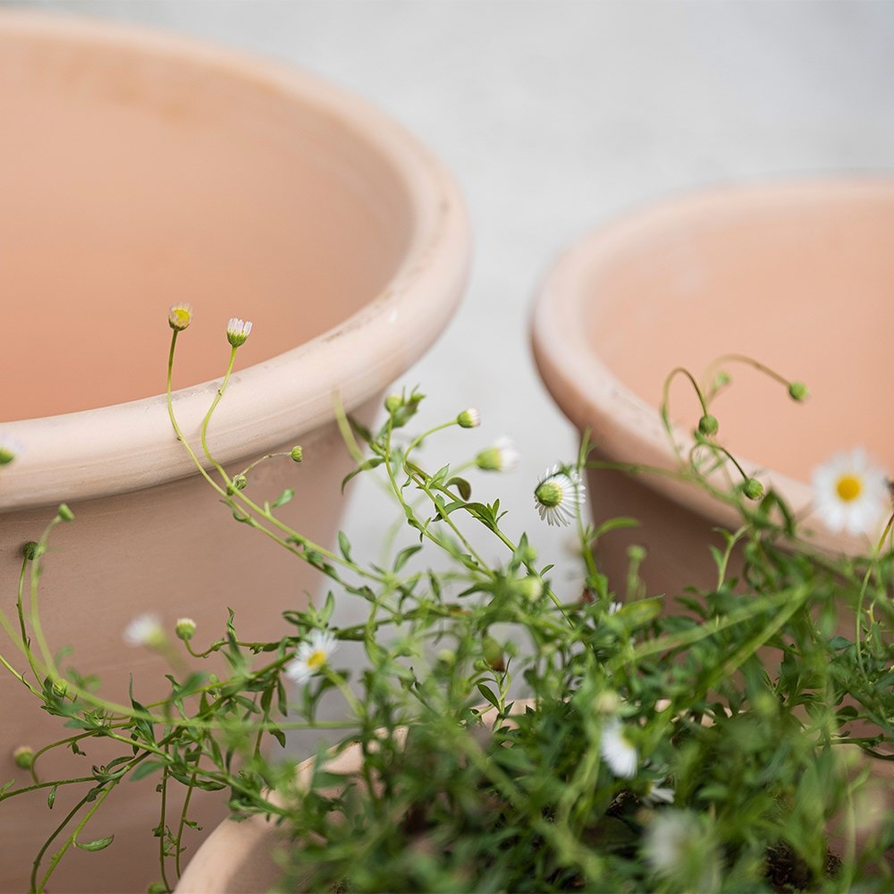 Marbled Italian terracotta pot