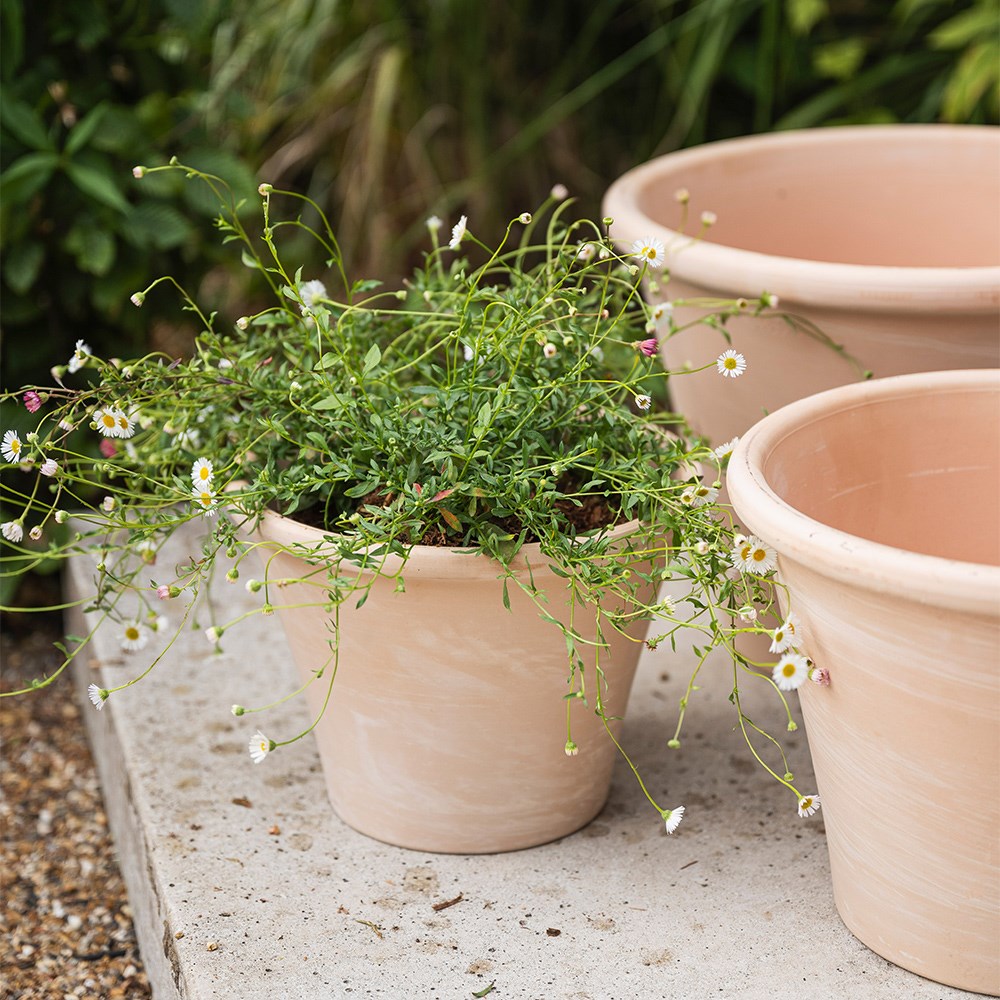 Marbled Italian terracotta pot