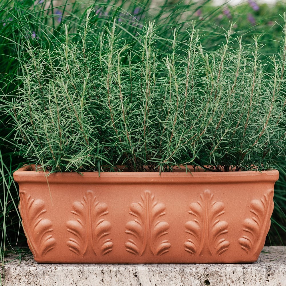 Embellished Italian terracotta trough