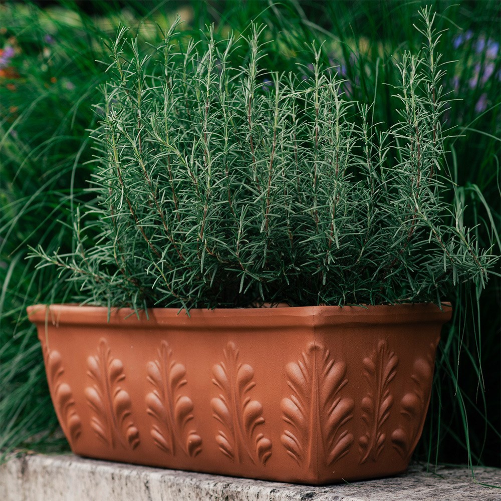 Embellished Italian terracotta trough