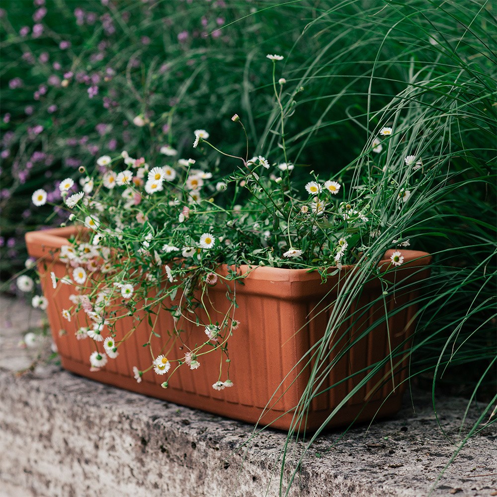 Ribbed Italian terracotta trough