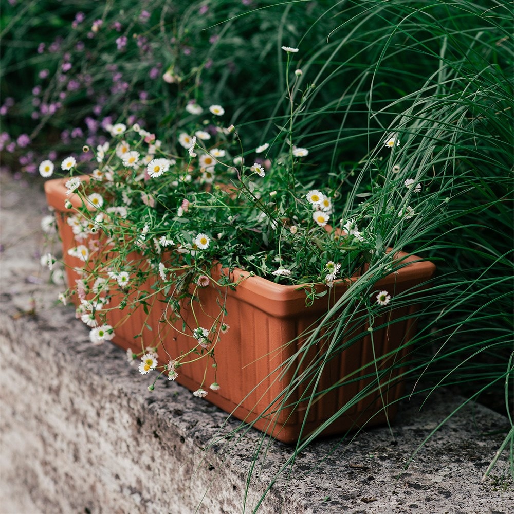 Ribbed Italian terracotta trough