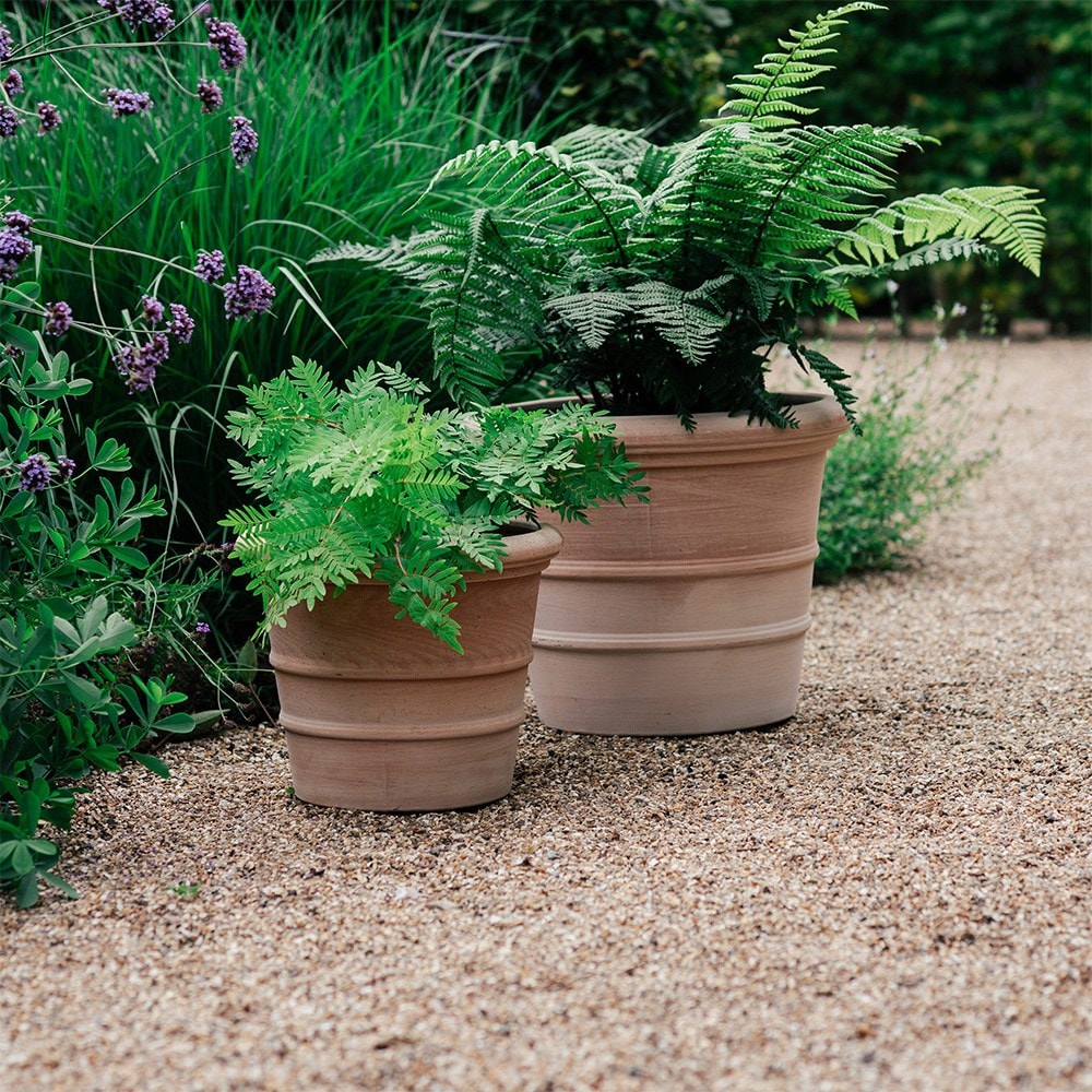 Siena ribbed Italian terracotta pot