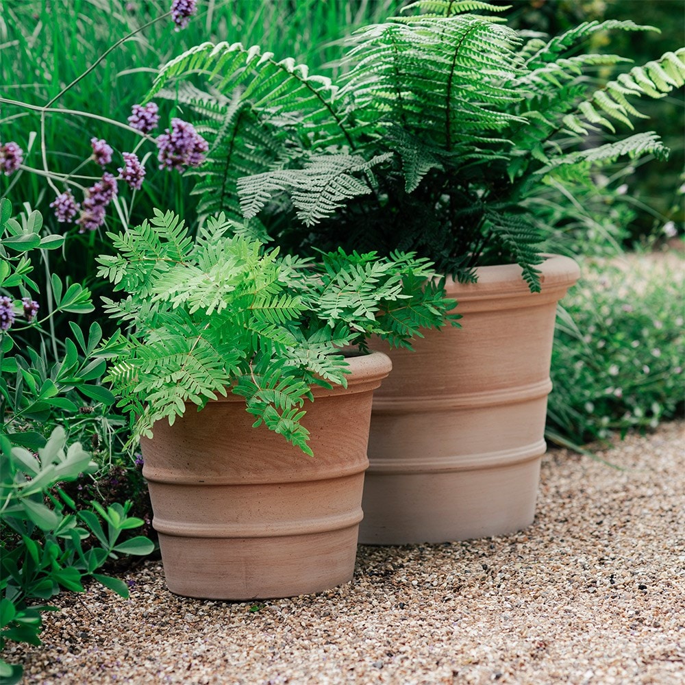 Siena ribbed Italian terracotta pot