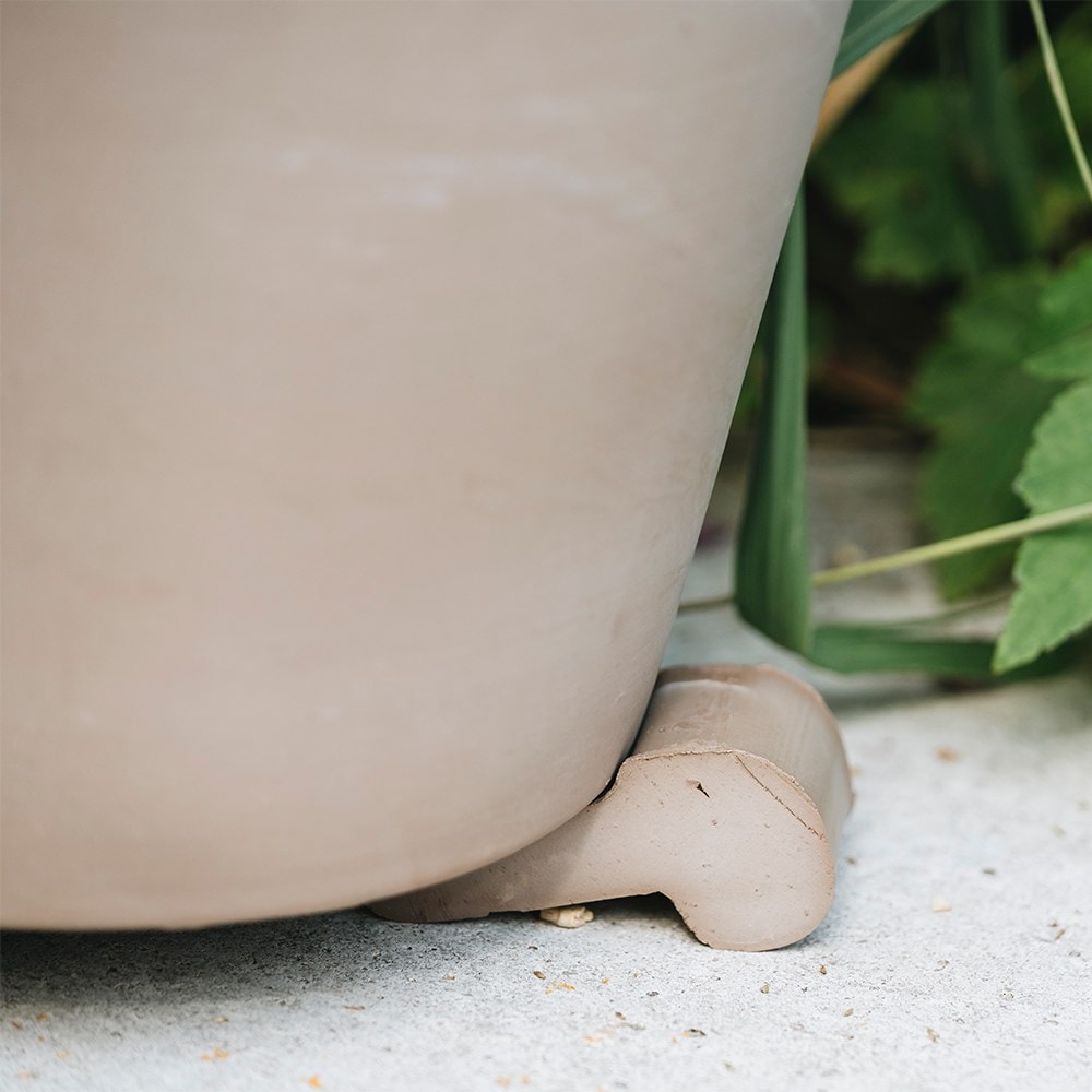 Product options image