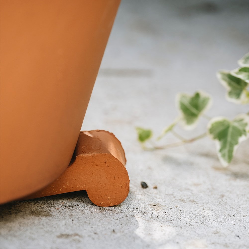 Product options image