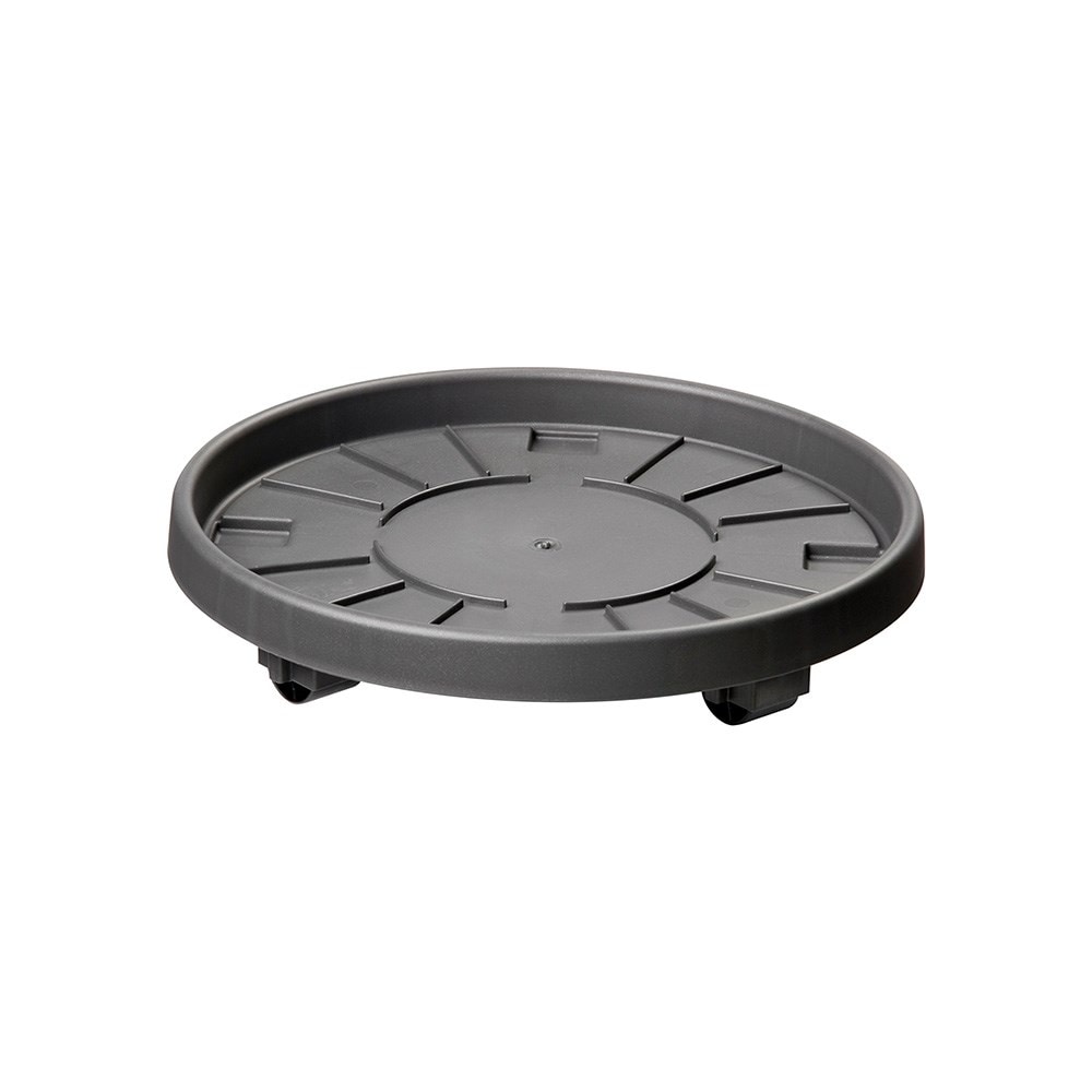 Product options image