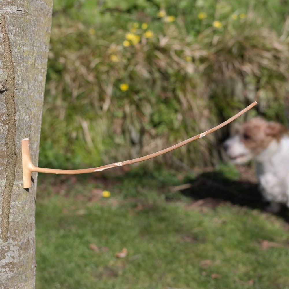 Product options image