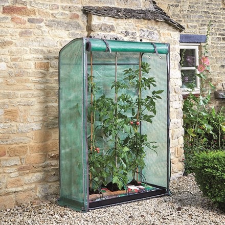 Tomato growhouse with cover