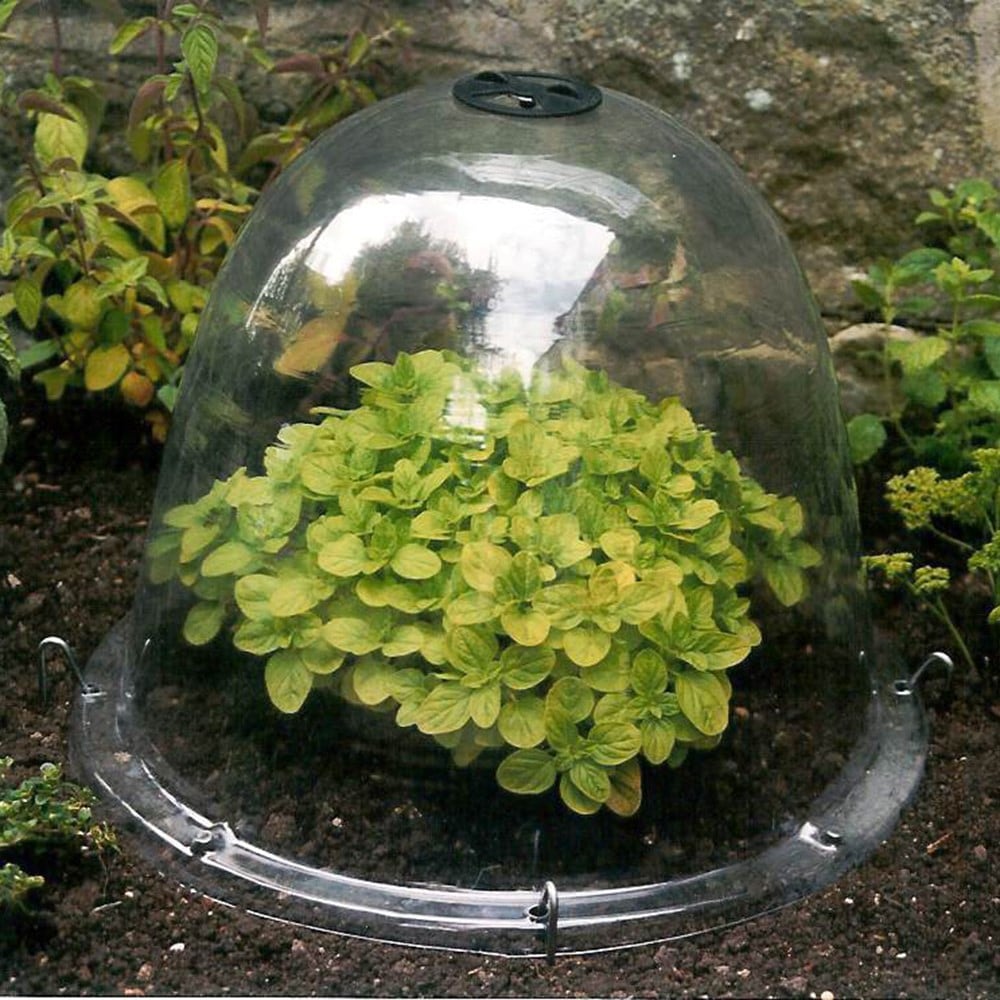 Product options image