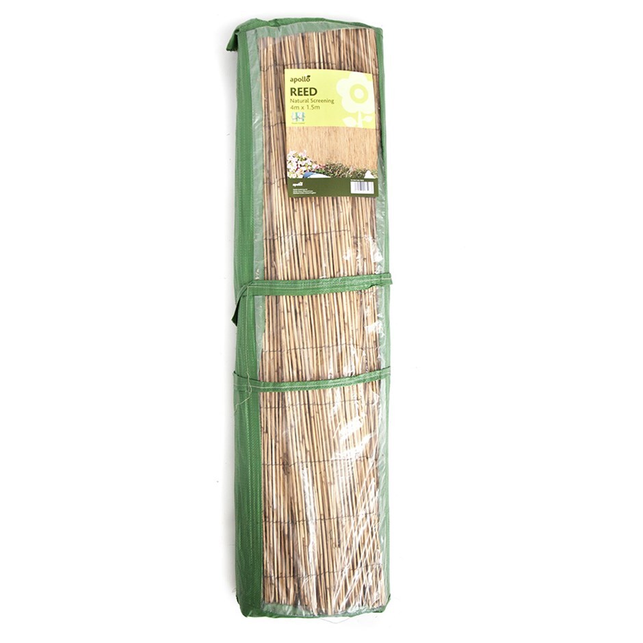 Buy Natural screening reed Delivery by Crocus