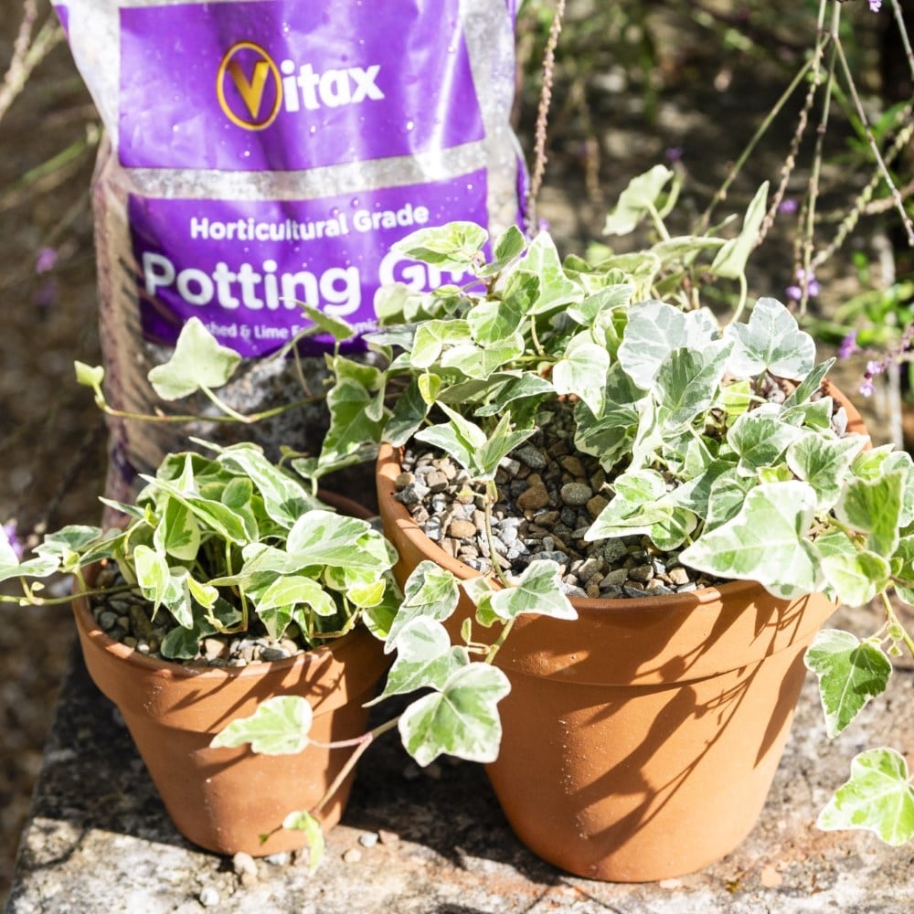 Vitax horticultural potting grit