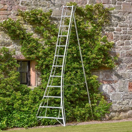 Picture of Standard tripod ladder