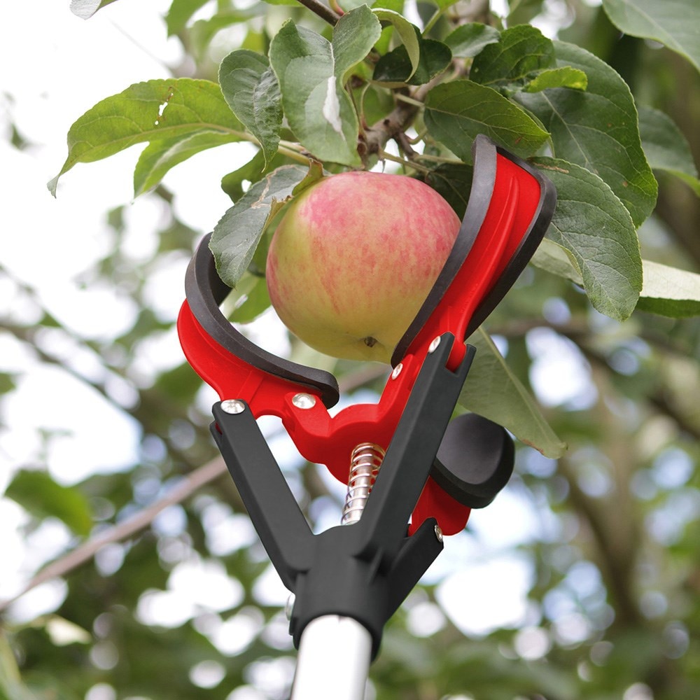Darlac telescopic fruit picker