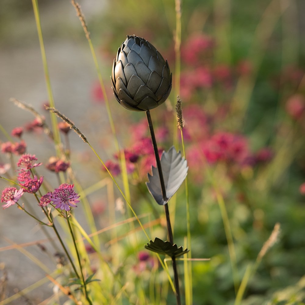 Product options image