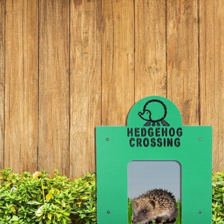 Hedgehog crossing - square tunnel