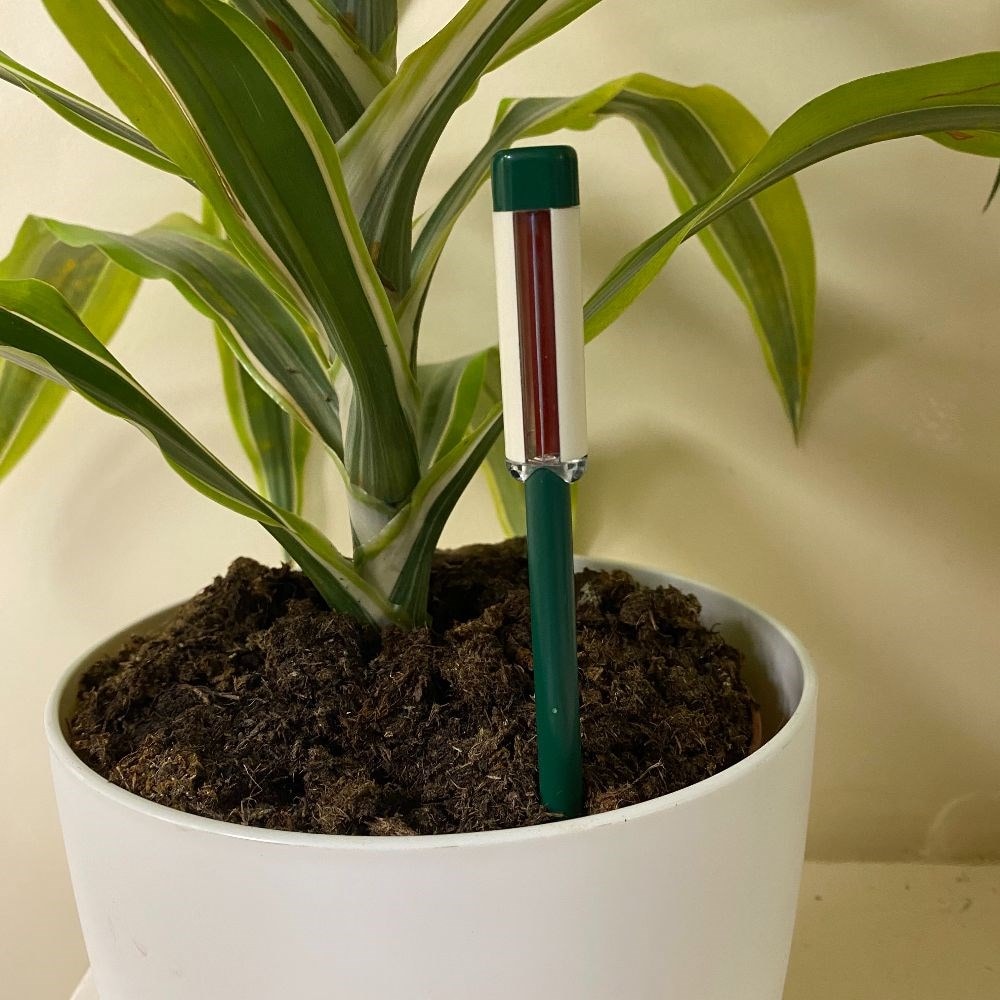 Houseplant watering indicator