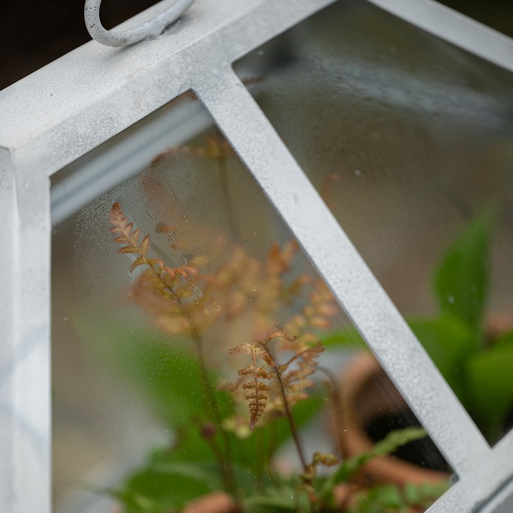 Victorian growhouse rectangular - chalky white