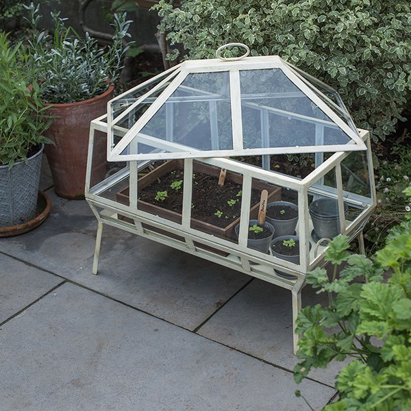 Victorian growhouse rectangular - chalky white