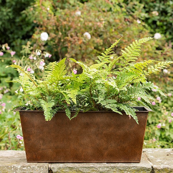 Plant trough - dark rust
