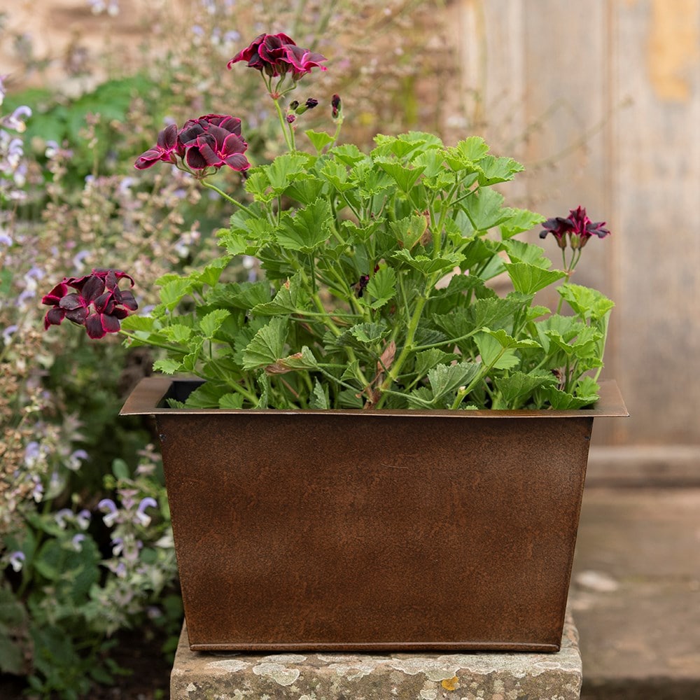 Plant trough - dark rust