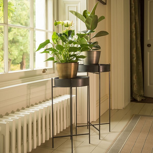 Buy Plant tray and stand short Delivery by Waitrose Garden
