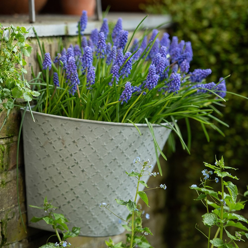 Wall planters