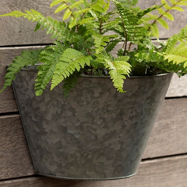 Galvanised metal wall planter