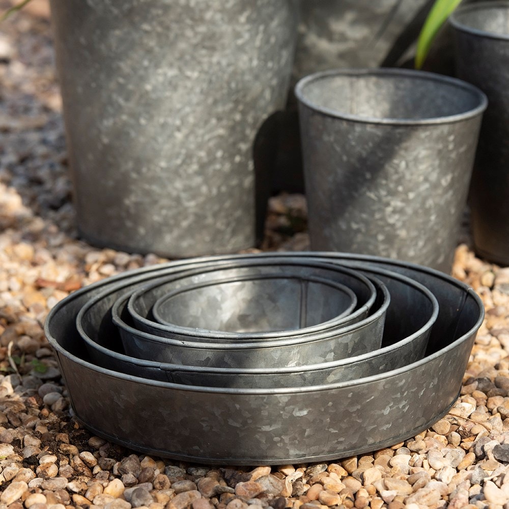 Product options image