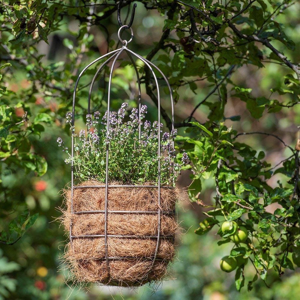 Product options image